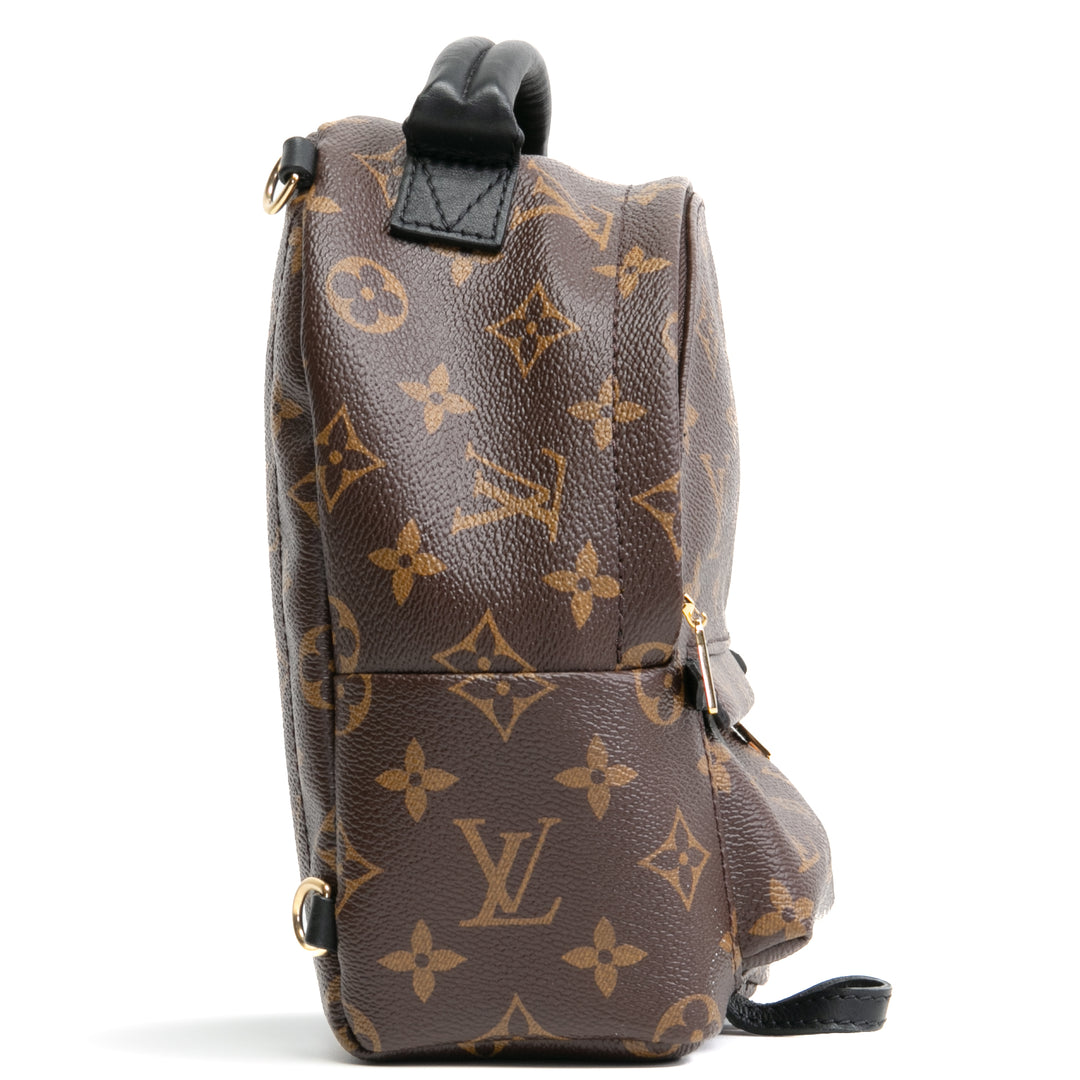 Louis Vuitton Palm Springs Mini mochila